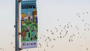 Economia: E você, importa? SXSW discute ‘o que sobrará’ dos humanos na era da IA